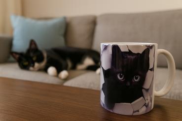 Keramiktasse "Schwarze Katze"